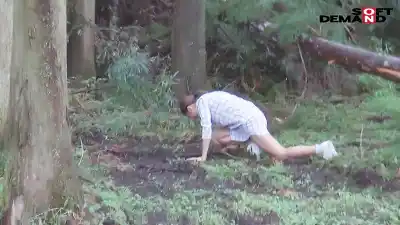 キャプチャ画像3