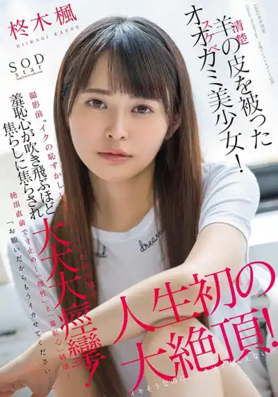 キャプチャ画像1