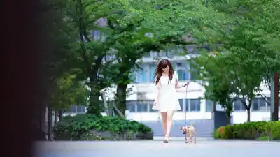 キャプチャ画像2