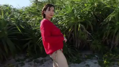 キャプチャ画像2