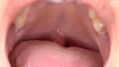 キャプチャ画像15